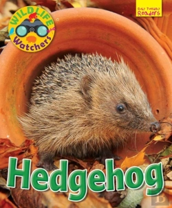 Bertrand.pt - Wildlife Watchers: Hedgehog