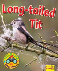 Bertrand.pt - Wildlife Watchers: Long-Tailed Tit