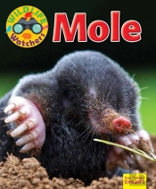 Wildlife Watchers: Mole