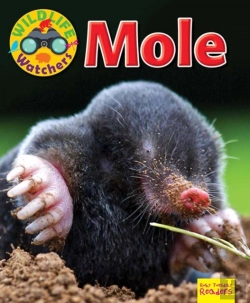 Bertrand.pt - Wildlife Watchers: Mole