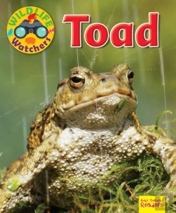 Bertrand.pt - Wildlife Watchers: Toad
