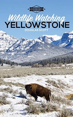 Bertrand.pt - Wildlife Watching: Yellowstone