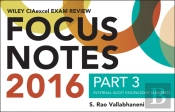 Wiley Ciaexcel Exam Review 2016 Focus Notes