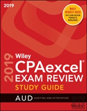 Wiley Cpaexcel Exam Review 2019 Study Guide