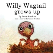 Willy Wagtail Grows Up