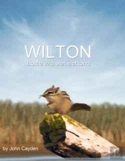 Bertrand.pt - Wilton Home In A Wet Wet Land