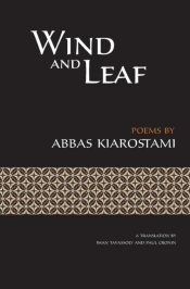 Wind And Leaf