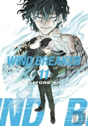 Wind Breaker 11
