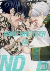 Wind Breaker 18