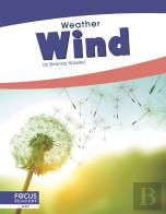 Wind
