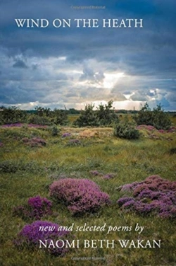 Bertrand.pt - Wind On The Heath