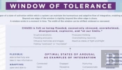 Window Of Tolerance Laminated Card