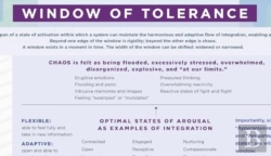 Bertrand.pt - Window Of Tolerance Laminated Card