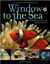 Window To The Sea