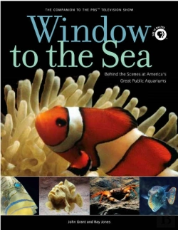 Bertrand.pt - Window To The Sea