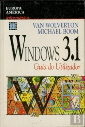 Windows 3.1