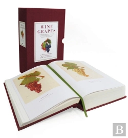 Bertrand.pt - Wine Grapes