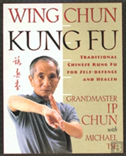 Bertrand.pt - Wing Chun Kung Fu