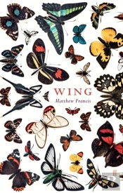 Wing