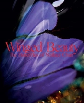 Winged Beauty