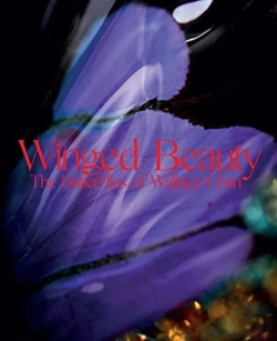 Bertrand.pt - Winged Beauty