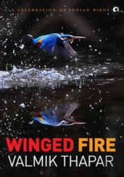 Winged Fire