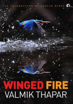 Bertrand.pt - Winged Fire