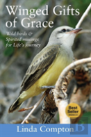 Winged Gifts Of Grace