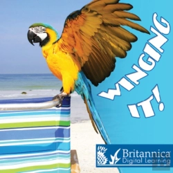 Bertrand.pt - Winging It!