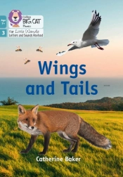 Wings And Tails