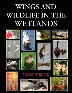 Bertrand.pt - Wings And Wildlife In The Wetlands