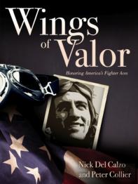 Wings Of Valor