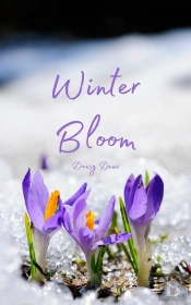 Winter Bloom
