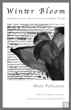 Bertrand.pt - Winter Bloom