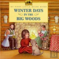 Winter Days In The Big Woods Picture Book