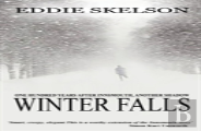Winter Falls