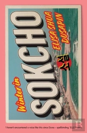 Winter In Sokcho