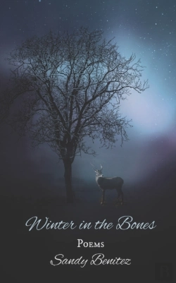 Bertrand.pt - Winter In The Bones