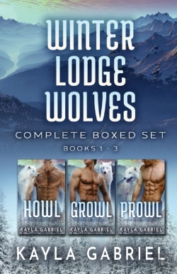 Bertrand.pt - Winter Lodge Wolves Complete Boxed Set -
