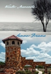 Winter Moments...Summer Dreams