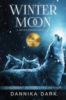 Bertrand.pt - Winter Moon: A Christmas Novella