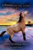 Winter Of Sinking Waters