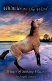 Winter Of Sinking Waters