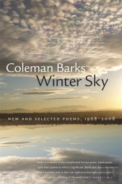 Winter Sky