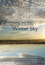Winter Sky