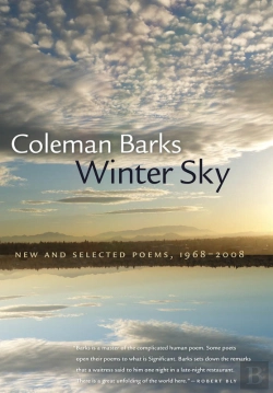 Bertrand.pt - Winter Sky