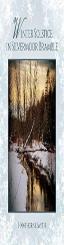 Winter Solstice In Silvermoor Bramble