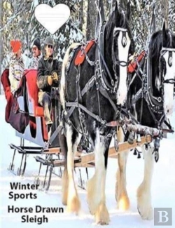 Bertrand.pt - Winter Sport Horse Drawn Sleigh: Text On