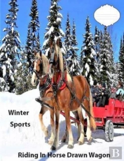Bertrand.pt - Winter Sports  Riding In Horse Drawn Wag
