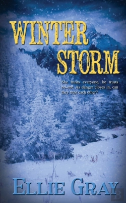 Bertrand.pt - Winter Storm